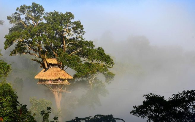 This will deliver a very different nature experience for those willing to live in the rainforest. Built with one goal in mind, these are the world’s highest tree houses where you can wake up surrounded by wild gibbons. A tourism-based project by conservationists, The Gibbon Experience will allow you to stay in one of these incredible treetop houses, set high amongst the tree canopies. To preserve the nature hotspot, you get around via ziplines. Sure, it’s low-tech, but it also gives you perfect access to the canopy tree houses without disturbing the wildlife.  Address: Nam Kan National Park, Bokeo Province, Laos Photo: The Gibbon Experience