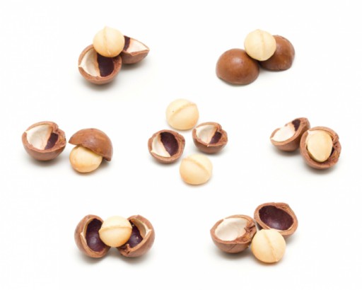 The macadamia nut